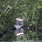 Arts & Vie - Tortuguero - Costa Rica