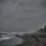 Arts & Vie - Tortuguero - Costa Rica