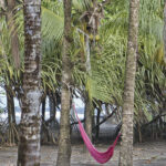 Arts & Vie - Tortuguero - Costa Rica