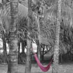 Arts & Vie - Tortuguero - Costa Rica