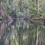 Arts & Vie - Tortuguero - Costa Rica