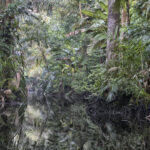 Arts & Vie - Tortuguero - Costa Rica