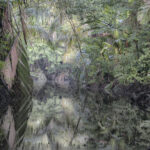 Arts & Vie - Tortuguero - Costa Rica