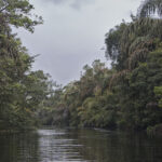 Arts & Vie - Tortuguero - Costa Rica