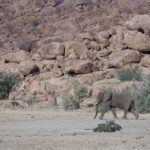 Arts & Vie - Brandberg - Namibie