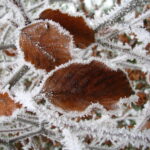 Hiver - Bourgogne
