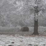 Hiver - Bourgogne