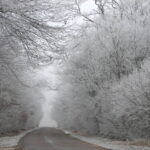 Hiver - Bourgogne