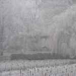 Hiver - Bourgogne