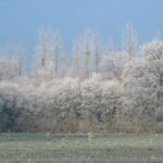 Hiver - Bourgogne