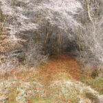 Hiver - Bourgogne