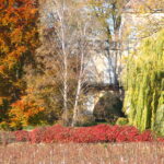 Automne - Bourgogne