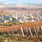 Automne - Bourgogne