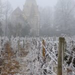 Hiver - Bourgogne