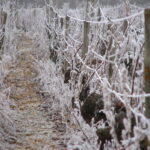 Hiver - Bourgogne