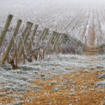 Hiver - Bourgogne