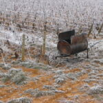 Hiver - Bourgogne