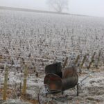 Hiver - Bourgogne