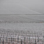 Hiver - Bourgogne