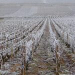 Hiver - Bourgogne