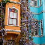 Istanbul - Turquie