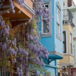Istanbul - Turquie