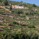 Vallée du Douro - Portugal