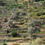 Vallée du Douro - Portugal