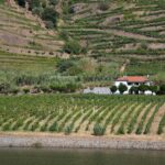 Vallée du Douro - Portugal