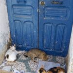 Sousse - Tunisie