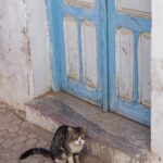 Kairouan - Tunisie