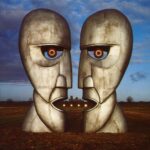 The-Division-Bell