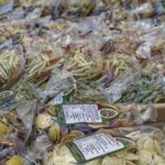 Arts & Vie - Bari - Pouilles