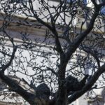 Arts & Vie - Martina Franca - Pouilles