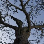 Arts & Vie - Martina Franca - Pouilles