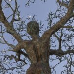 Arts & Vie - Martina Franca - Pouilles