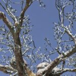 Arts & Vie - Martina Franca - Pouilles