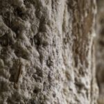 Arts & Vie - Wieliczka - Pologne
