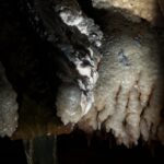 Arts & Vie - Wieliczka - Pologne