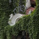 Arts & Vie - Cracovie - Pologne