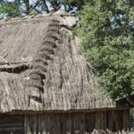 Arts & Vie - Lublin - Pologne