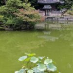 Corée du Sud - Séoul -Changdeokgung Secret Garden