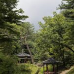 Corée du Sud - Séoul -Changdeokgung Secret Garden