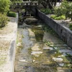 Corée du Sud - Séoul -Changdeokgung Secret Garden