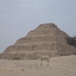 Arts & Vie - Saqqarah - Egypte