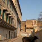 Arts & Vie - Mandawa - Inde
