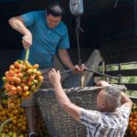 Arts & Vie - Sarapiqui - Costa Rica