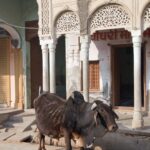 Arts & Vie - Fathepur - Inde