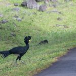 Arts & Vie - Arenal - Costa Rica