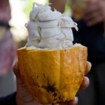 Arts & Vie - Arenal - Costa Rica
